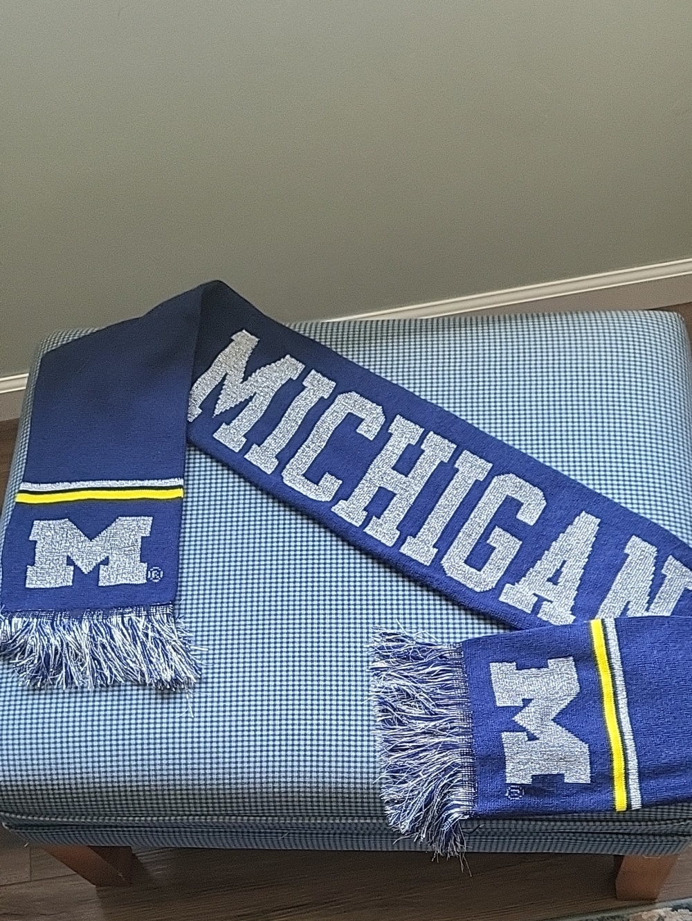 Blue 'MICHIGAN' Knit Fan Scarf - Official Collegiate Style